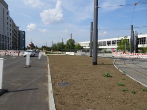Vetschauer Straße (8) (1)